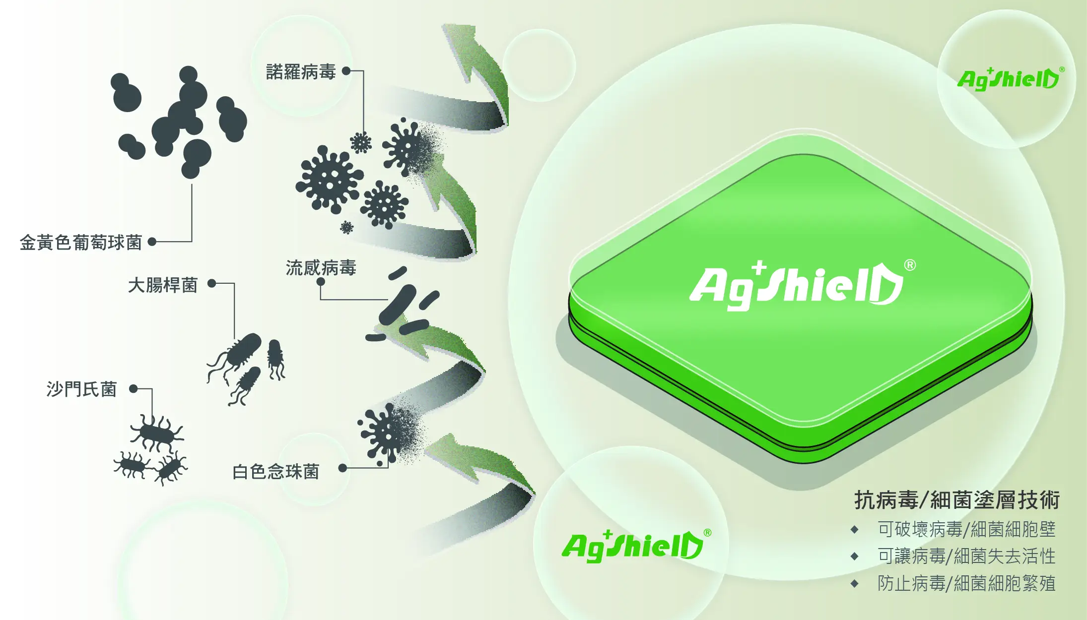 Ag+shielD抗菌抗病毒塗層